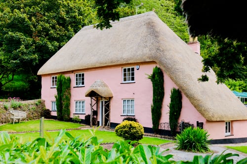 Pink thatched cottage 