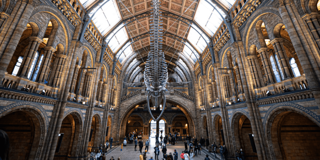 Natural History Museum