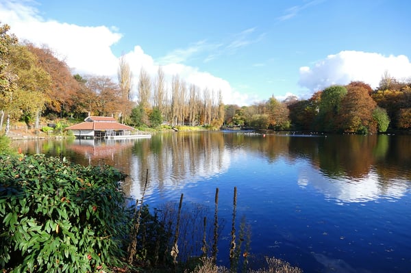 birmingham property management