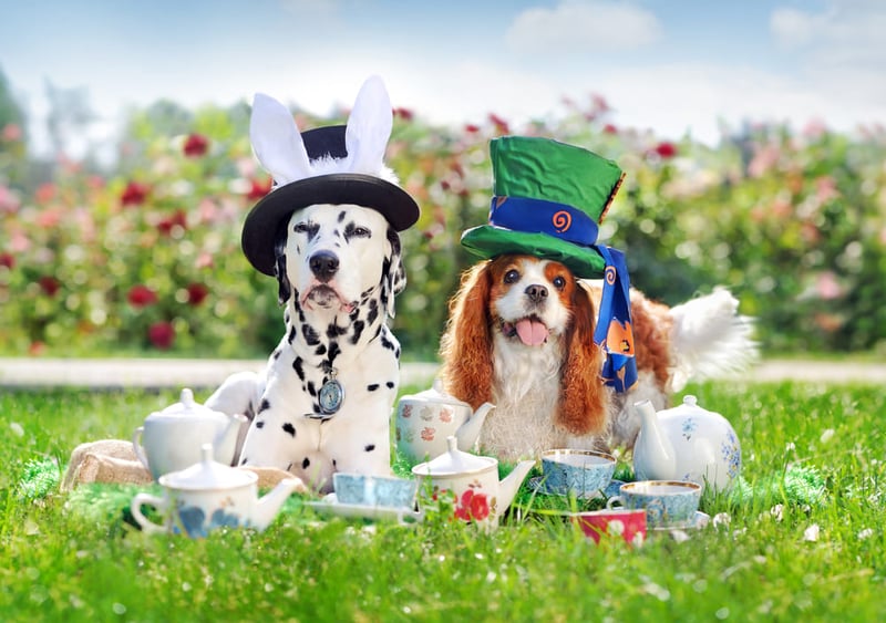 dogs in mad hatter costume