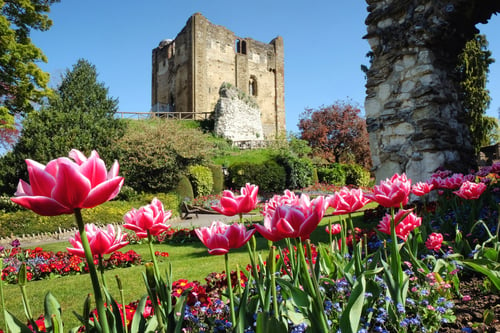 can i stay.guildford.castle