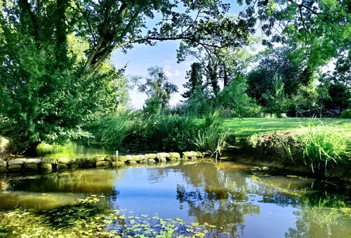idyllic suffolk garden in summer