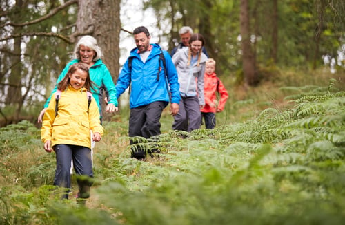 Multi generation family walking in line downhill on a trail in a forest during a camping holiday, Lake District, UK