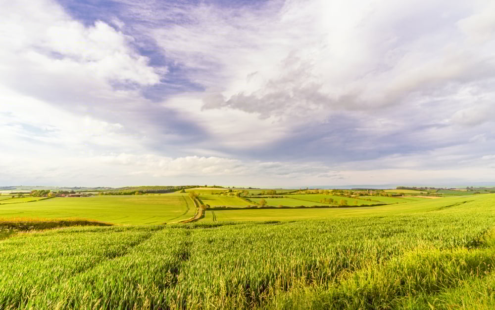 shutterstock_1415404649