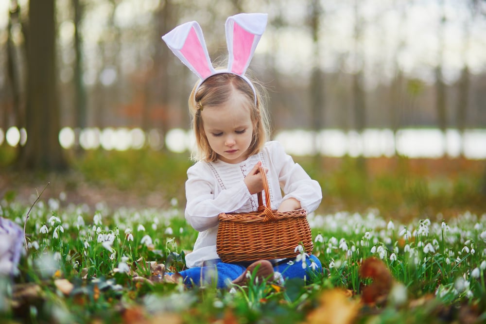 shutterstock_1911145417