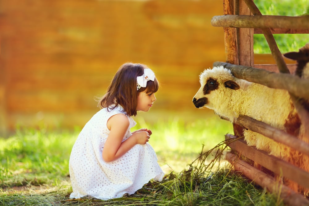 shutterstock_286910333-2