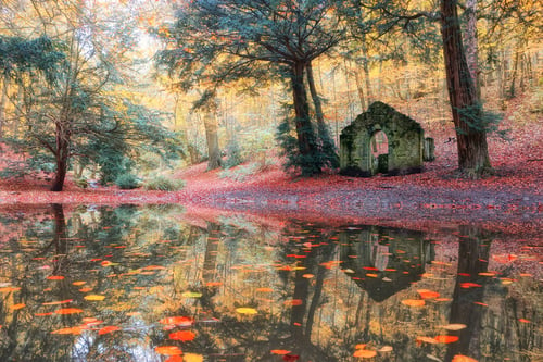 Autumnal river in Shropshire